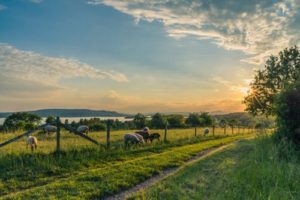 How Has Technology Changed Farming in the 21st Century 1