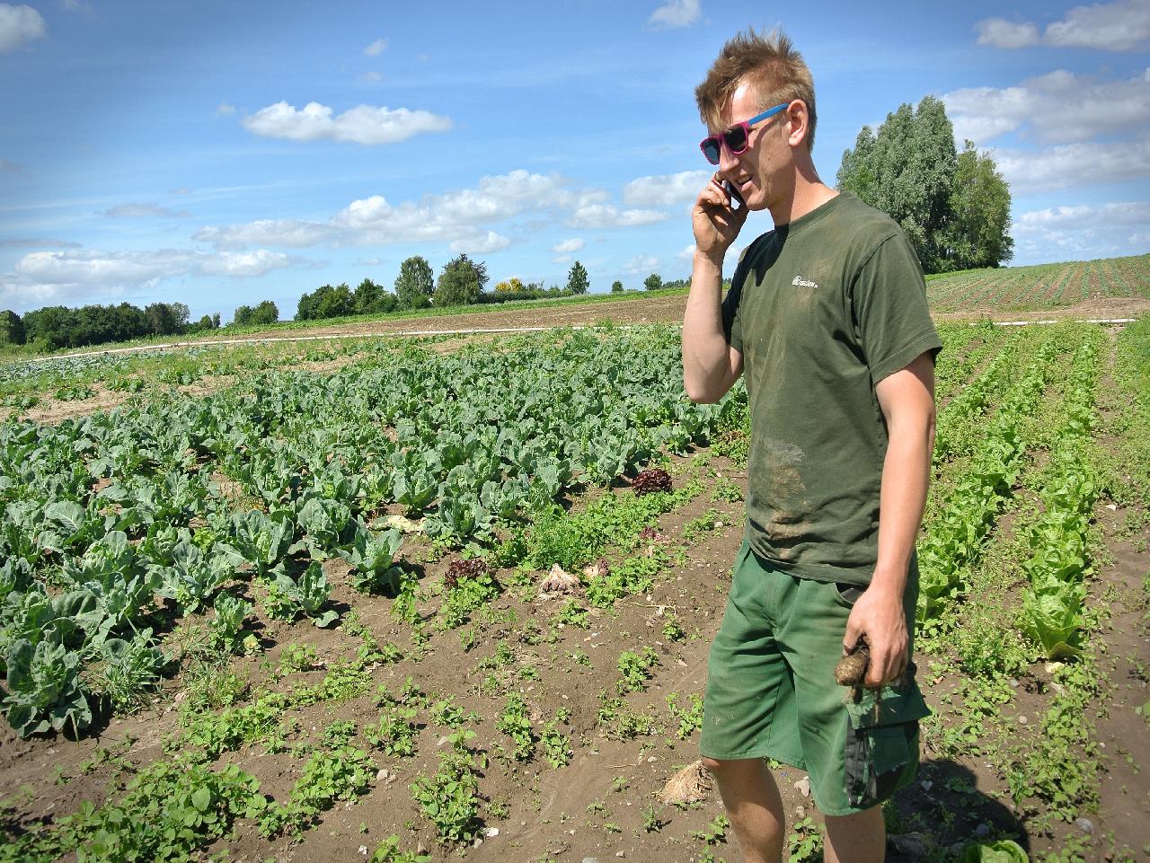 SEO for Your Agriculture Business
