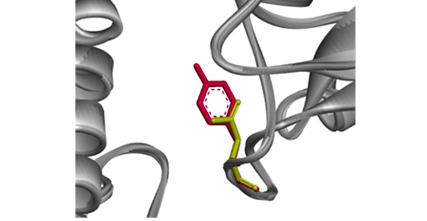 Fujitsu Japan Embarks on Joint Research for COVID-19 Therapies 2