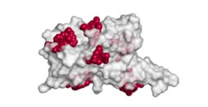 Fujitsu Japan Embarks on Joint Research for COVID-19 Therapies