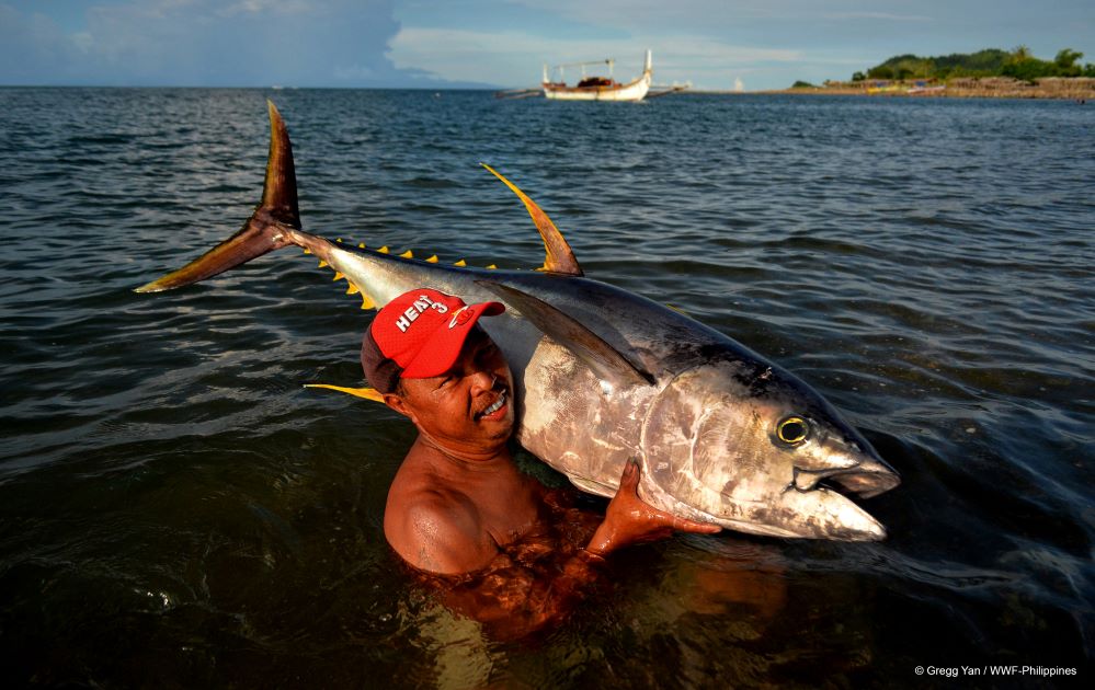 Bangkulis PR - Gregg Yan, WWF-Philippines 