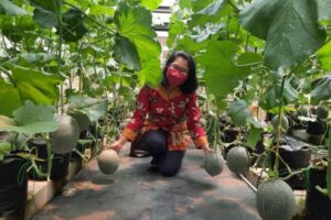 Brawijaya University develops IoT-based system