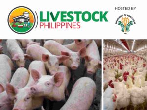 livestock ph